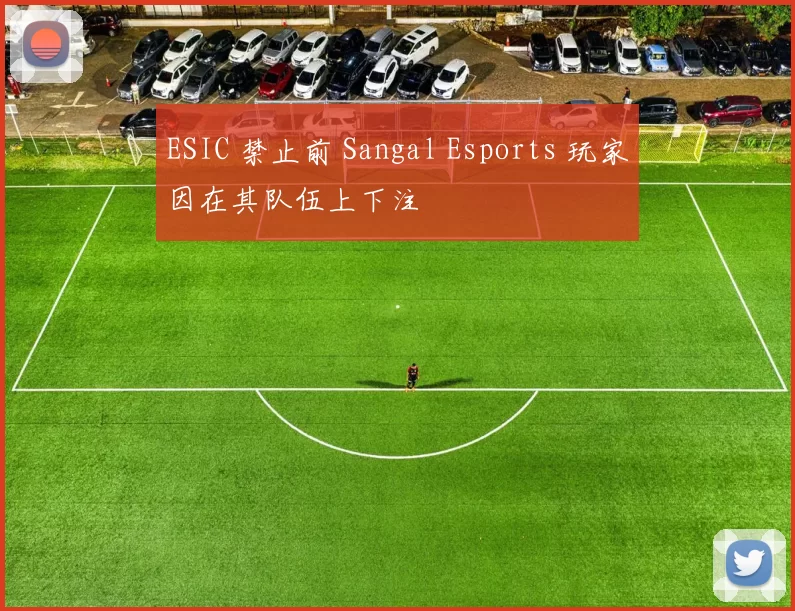 ESIC 禁止前 Sangal Esports 玩家因在其队伍上下注