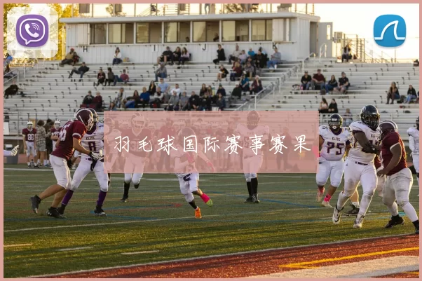 羽毛球国际赛事赛果