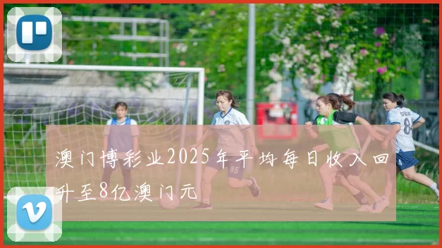 澳门博彩业2025年平均每日收入回升至8亿澳门元