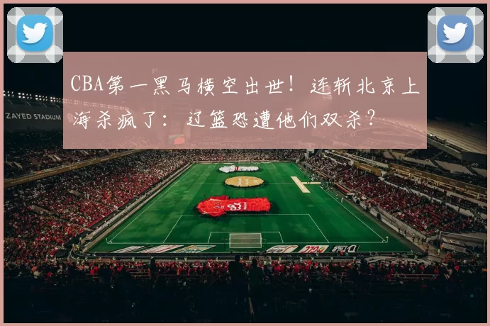 CBA第一黑马横空出世！连斩北京上海杀疯了：辽篮恐遭他们双杀？