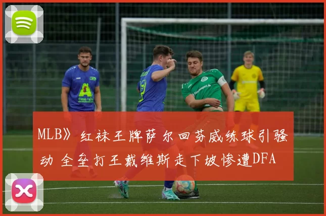 MLB》红袜王牌萨尔回芬威练球引骚动 全垒打王戴维斯走下坡惨遭DFA