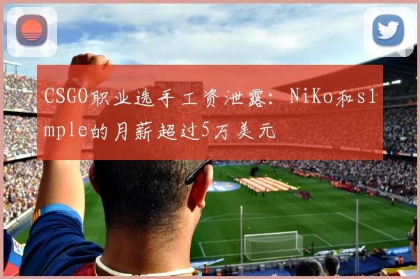 CSGO职业选手工资泄露：NiKo和s1mple的月薪超过5万美元