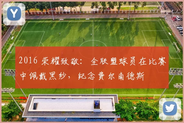 2016 荣耀致敬：全联盟球员在比赛中佩戴黑纱，纪念费尔南德斯