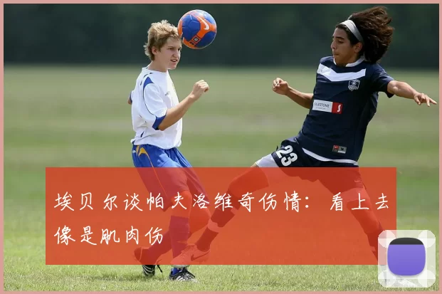 埃贝尔谈帕夫洛维奇伤情：看上去像是肌肉伤